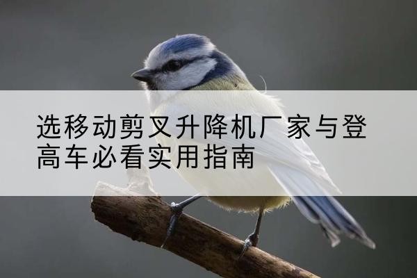 内江电动升降机厂家-选移动剪叉升降机厂家与登高车必看实用指南