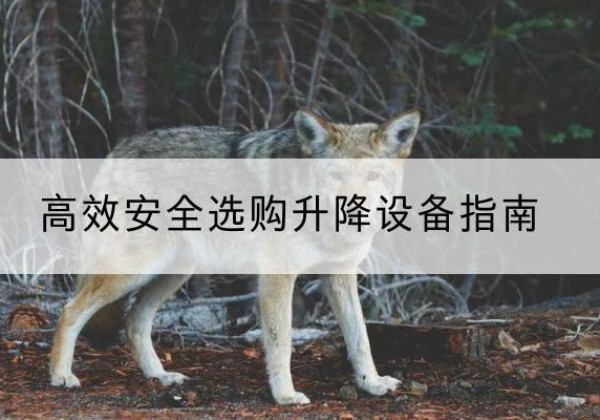 内江升降货梯厂家推荐-*安全选购升降设备指南