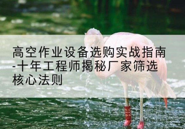 内江剪叉式升降机厂家-高空作业设备选购实战指南-十年工程师揭秘厂家筛选核心法则